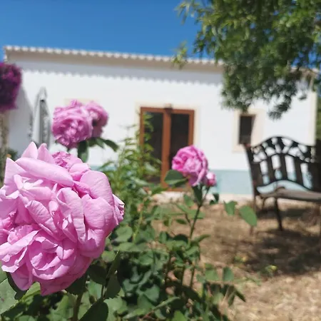 Casa de Férias Pep Pardal Sant Miquel de Balansat