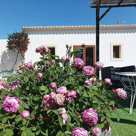 Pep Pardal Casa de Férias